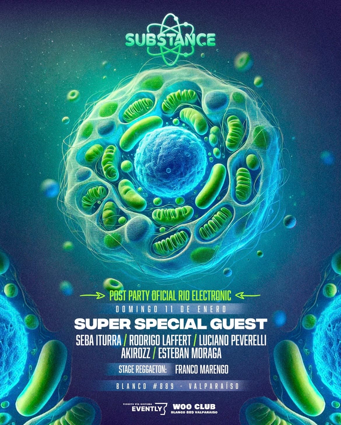 Substance Summer: Special Guest Post Rio Electronic  image}